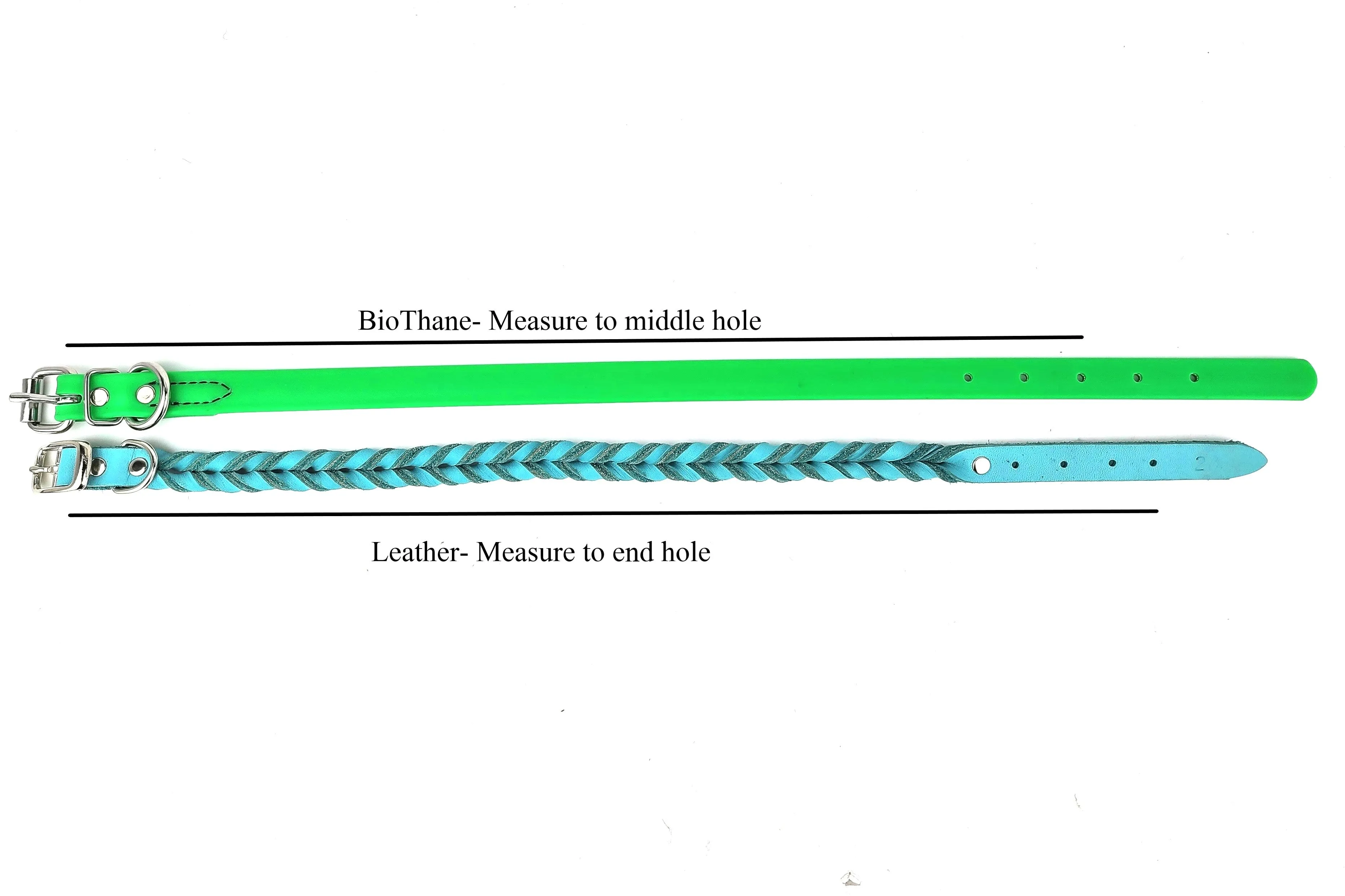 BioThane Buckle Collars