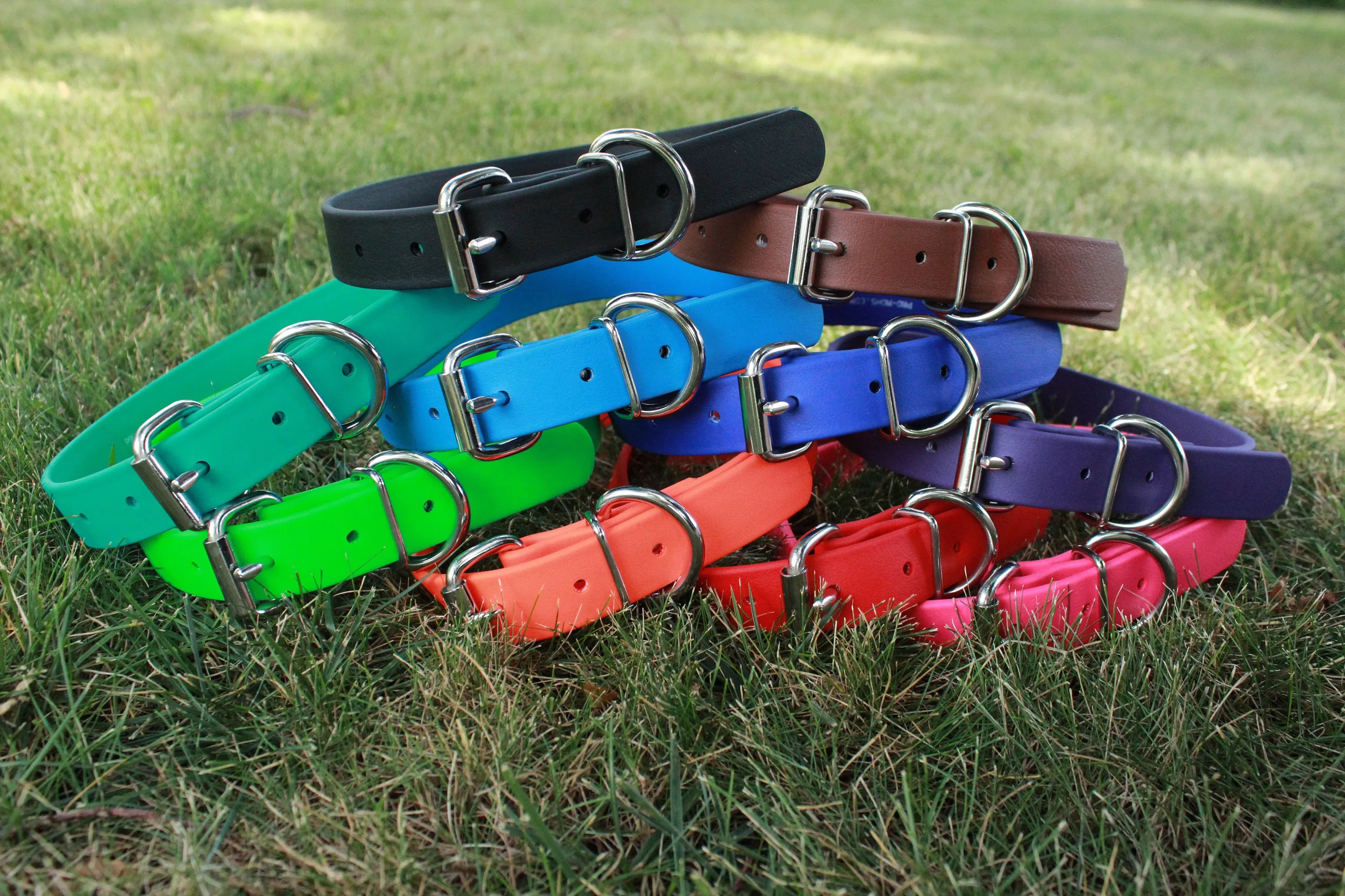 BioThane Buckle Collars