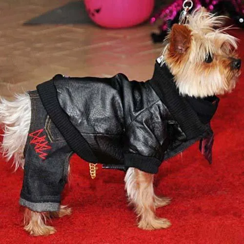 Black Pleather Bomber Dog Coat