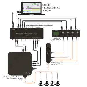 Bundle-imaging Fiber Photometry with Targeted Optogenetics System