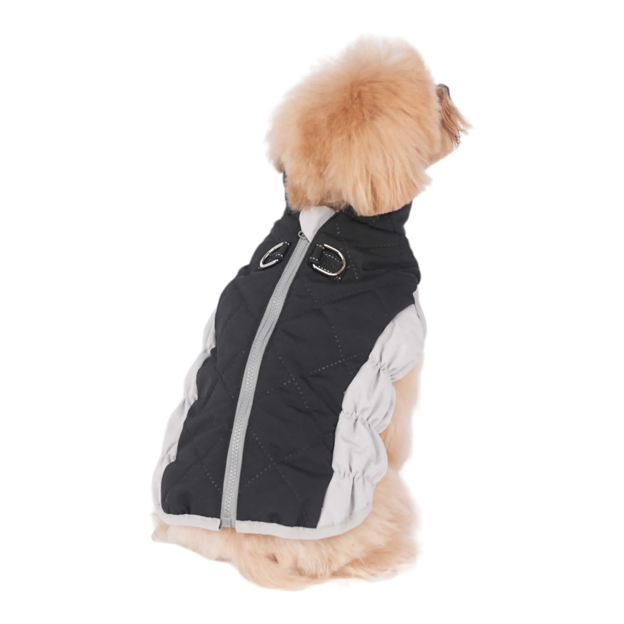 Northumberland Dog Coat